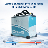Batterie rechargeable semi-solide OKCELL 65000mAh 28S 100.8V AS150U avec prise, certifiée CE, garantie 1 an, vente en gros