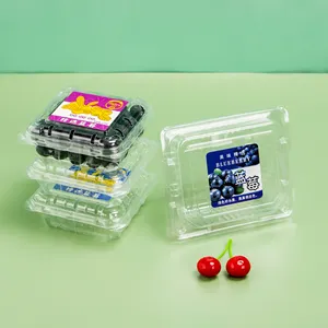 批发一次性透明透明宠物塑料水果草莓蓝莓翻盖包装盒碗