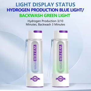 Original Manufacturer Water <strong>Ionizer</strong> SPE PEM Water Electrolysis 2000PPB Hydrogen Water Generator For Outdoor Camping Activities - Product Image 4