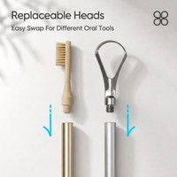 Brosse à dents en bambou détachable, gratte-langue en acier inoxydable, kit d'hygiène buccale, écologique, nettoyage quotidien de la bouche