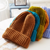 Vente en gros Bonnets d'hiver pour femme de créateur unisexe Logo personnalisé Chapeaux d'hiver acrylique pour femme Chapeaux chauds unisexes en tricot Casquettes