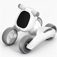 Développement de robots compagnons IA OEM, Robot d'interaction vocale personnalisé, Robot compagnon éducatif à domicile, Service personnalisé ODM OEM