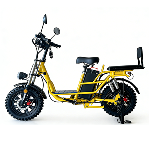 Bicicletta Elettrica Modello Russo da 16 Pollici Senza Batteria, Antiscivolo, per Adulti, Ideale per Consegne a Domicilio - Product Image 1