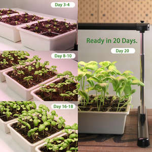 Kit de Jardim Hidropônico Inteligente J&C Adaptável para Pendurar, Colocar em Pé ou Montar no Teto, com LED para Cultivo de Vegetais e Ervas em Ambientes Internos. - Product Image 4