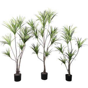 Cycad Artificiale Stile Instagram, Grande Bonsai da Pavimento con Foglie Rosse, Decorazione Imitazione Cactus - Product Image 5
