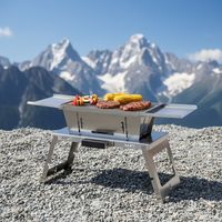 Barbecue portable pliable au charbon de bois pour le camping en plein air, barbecue pliable en acier inoxydable, barbecue au charbon de bois