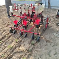 Transplanteur de semis de légumes à haute efficacité et facile à utiliser, planteur de poivrons adapté au repiquage