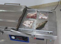Machine d'emballage sous vide alimentaire à double chambre modèle DZ-500, usage commercial, 220V monophasé, triphasé