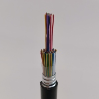 Câble de télécommunication blindé multiconducteur Yaogu GYTA53 en cuivre avec blindage APL, bande d'acier blindée et gaine HDPE, pour enfouissement direct