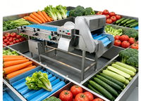 Gemengde groenteverwerkingsmachine, gemotoriseerde groentesnijder