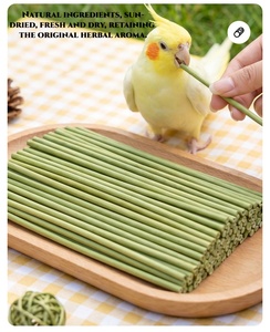 Bastoncini Naturali da Masticare per Pappagalli, Giocattolo in Erba della Barba del Drago per la Pulizia dei Denti, Antistress, Intrattenimento in Gabbia per Pappagallini, Agaporni, Cacatua - Product Image 3
