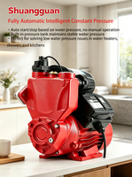 1 Zoll Rohrleitung Automatische Ein/Aus Wasserdruckerhöhungspumpe 220V 50L/Min Durchfluss WZB Intelligente Selbstansaugende Hauswasserpumpe