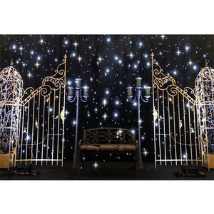 Venta caliente de la boda de Metal puerta paneles accesorios al por mayor de la boda de Metal puerta paneles decoración comprar moderno escenario de la boda MARCO DE LA PUERTA DE Metal - Product Image 1