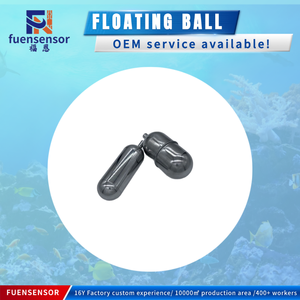 Interrupteur à flotteur magnétique en acier inoxydable AISI 304 316 316L pour soudage - Product Image 1