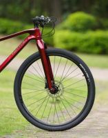 TWITTER WARRIOR Pro 29er VTT en carbone haute performance 2x12 vitesses Frein à disque hydraulique Boost Axe traversant XT M8100 11,9 kg Alliage de magnésium