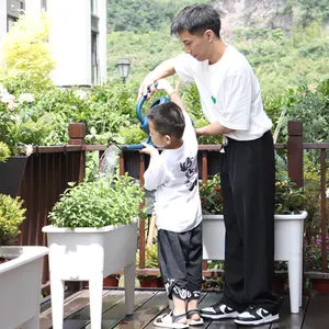 Lit de jardin surélevé avec pieds pour grandes plantes d'extérieur Boîtes à fleurs de jardin en plastique surélevées Pots de plantes pour patio