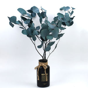 Nuevo follaje 2025 Forever Flower DIY plantas <span class=keywords><strong>de</strong></span> jardín hojas <span class=keywords><strong>de</strong></span> eucalipto preservadas para Arreglo <span class=keywords><strong>de</strong></span> decoración Interior del hogar DIY - Product Image 3