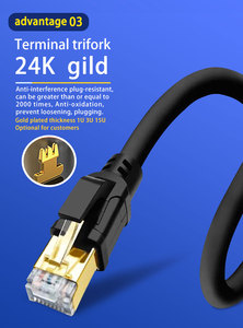 Câble Ethernet Cat8 400 Gbit/s en cuivre pur blindé SFTP RJ45, cordon de raccordement haute vitesse pour centre de données - Product Image 6