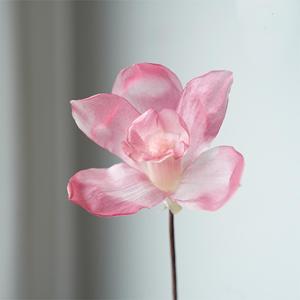 Cabeza de Flor de Orquídea Phalaenopsis Preservada, Mariposa Eterna, 7-8cm, 3 Piezas/Caja, Regalo para Ella, Cumpleaños, Día de San Valentín, Día de la Madre - Product Image 3