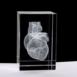 3D <span class=keywords><strong>laser</strong></span> gravierter Kristall Menschliches Herz Anatomie Modell Glas Handwerk benutzer definierte leere Kristall <span class=keywords><strong>block</strong></span> für anatomische Modell medizinische Schule