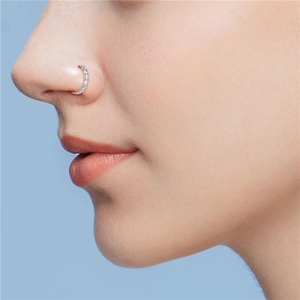 Anneau de nez en titane ASTM F136 16G, segment de cartilage, boucle d'oreille <span class=keywords><strong>Tragus</strong></span>, hélix, daith, septum clicker avec zircon cubique, bijoux de <span class=keywords><strong>piercing</strong></span> - Product Image 2