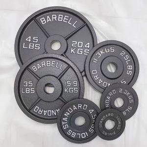 Discos de Pesas de Acero para Gimnasio en Casa, con Logotipo Personalizado, Portátiles, con Protección de Goma - Product Image 4