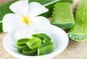 Lal fabrika kaynağı <span class=keywords><strong>Aloe</strong></span> <span class=keywords><strong>Vera</strong></span> yaprağı ekstresi <span class=keywords><strong>Aloe</strong></span> özü 20% Aloin - Product Image 3