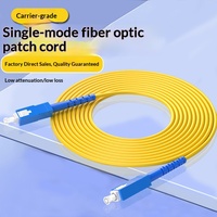 Cordons de raccordement en fibre optique monomode LC-LC-SC/LC-ST/LC-FC de qualité professionnelle, pigtails et jumpers optiques 10 Gigabit fabriqués en Chine