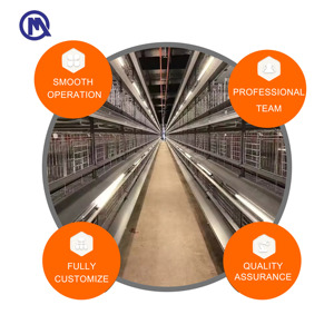 Gabbia Incubatrice per <span class=keywords><strong>Pulcini</strong></span> di 1 Giorno, Progettata per Allevamenti Avicoli - Product Image 3