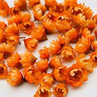 Bunga Daisy Bintang Kecil Brasil Kering Alami, Asli, Tanpa Bahan Kimia, Untuk Kerajinan Seni DIY, Pernikahan, Pesta, Berbagai Warna, Custom