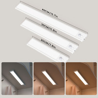 Lampe de nuit LED à détecteur de mouvement ABS au design moderne, 3 températures de couleur, intensité réglable, rechargeable par USB, lampes magnétiques sous l'armoire