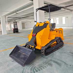 Лидер продаж, дизельный двигатель, мини-погрузчик - Product Image 4