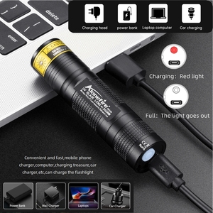 365nm UV LED Mini linterna USB recargable luz negra Invisible tinta marcador esmalte de uñas curado gato perro mascotas mancha Tinea antorcha - Product Image 5