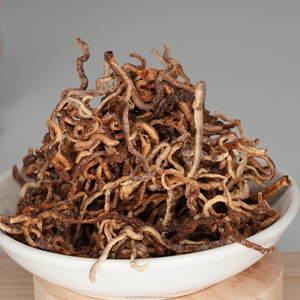 Nhà Máy bán hàng trực tiếp đóng băng khô Giun đất thức ăn vật nuôi cho cá tối ưu dinh dưỡng - Product Image 1