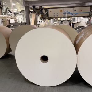 Papier en rouleau jumbo enduit de PE en pâte de bois vierge, imperméable et résistant à l'huile, matière première pour l'emballage alimentaire de boulangerie - Product Image 5