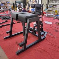 Chaise romaine d'entraînement musculaire complète multi-angle chargée par plaque de Machine d'hyper extension inverse de forme physique de gymnase commerciale