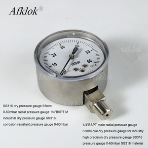 S316 शुष्क दबाव गेज 63 मिमी 0-60mbar 1/<span class=keywords><strong>4</strong></span> "bspt m रेडियल कनेक्शन-उच्च परिशुद्धता औद्योगिक गेज - Product Image 3