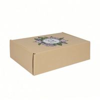 Boîtes d'emballage pour kit de jardin en papier kraft recyclable avec logo personnalisé, boîtes en carton ondulé, boîtes d'expédition découpées