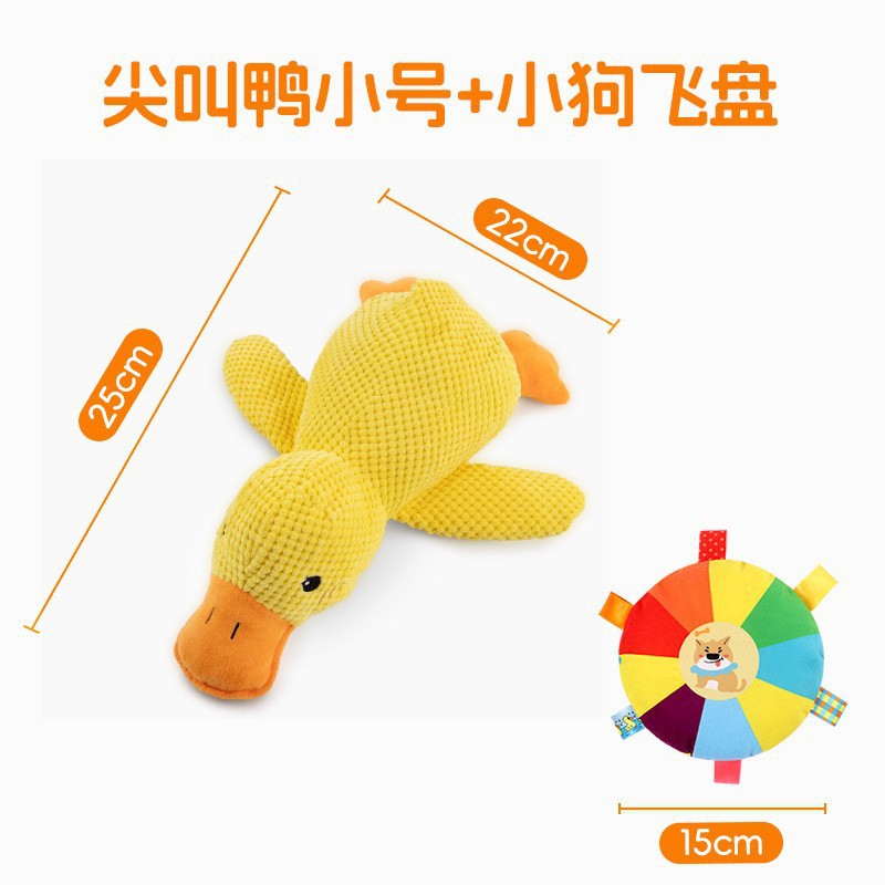 Frisbee petit canard