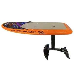 중국 TAME BILOW 파워 서핑 보드 Efoil 서핑 도매의 원래 제조업체