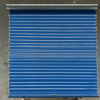 Portes extérieures en alliage d'aluminium de style moderne, volets roulants, isolation thermique avec surface finie