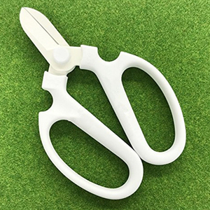 Bonsai Strumento di Sicurezza della Carta di Taglio Giardino <span class=keywords><strong>Giapponese</strong></span> Taglio <span class=keywords><strong>Fiore</strong></span> Scissor Per I Fiori - Product Image 3