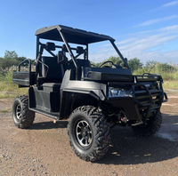 Vehículo Todoterreno Tipo Buggy Quad UTV, Robusto, para Transporte Agrícola, Patrullaje de Sitios, Actividades Deportivas al Aire Libre
