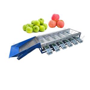 Machine de calibrage automatique des fruits ronds, machine de classement des pommes, machine de calibrage des pommes - Product Image 3