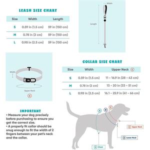 Conjunto de correa para <span class=keywords><strong>Collar</strong></span> de perro con diseño personalizado, hebilla de <span class=keywords><strong>Metal</strong></span> para entrenamiento, venta al por mayor de fábrica, Oem - Product Image 6