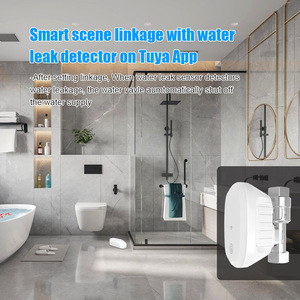 Compteur d'eau intelligent Tuya Smart Life - Product Image 3