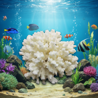 Spécimen de corail blanc naturel, pierre de quartz brute en forme de flamme, marque YunYang, pour l'art et la décoration de fêtes