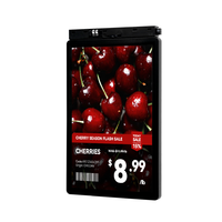 10.1 Inch Ultra Wide View ESL Electronic Shelf Tag Sinkronisasi Cepat Waktu Nyata E Paper Label Harga untuk Gudang Pendingin Pasar Buah