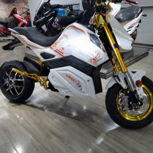 <span class=keywords><strong>Precio</strong></span> bajo Ciclomotor 3000W Ckd Neumático gordo Acero Legal Motor dual Scooters eléctricos Freno de disco Electrica Motocicletas 200kg Carga para hombres - Product Image 2