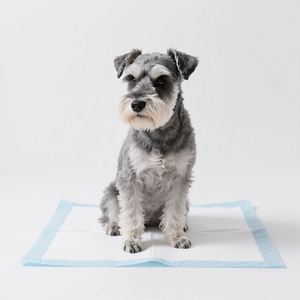 L 60x60cm Factory OEM Disposable Absorbent Puppy Pet Dog <b>Potty</b> <b>Training</b> Hygienic Pee Pads Toilet Leak Protection S M L XL - Product Image 6